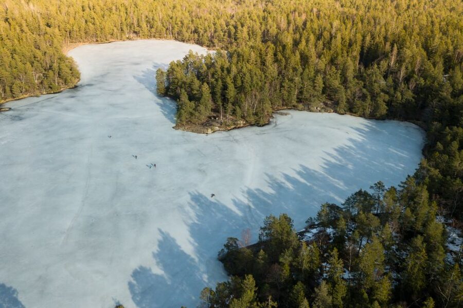 Stockholm: Winter Snowshoe Full-Day Hike - From Stockholm streets to a frozen forest