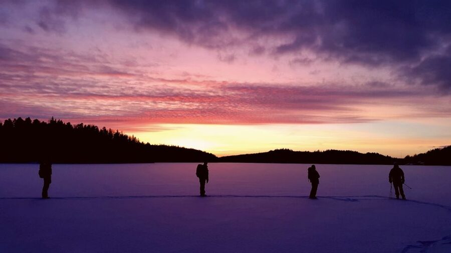 Stockholm: Winter Snowshoe Full-Day Hike - Should you book it?