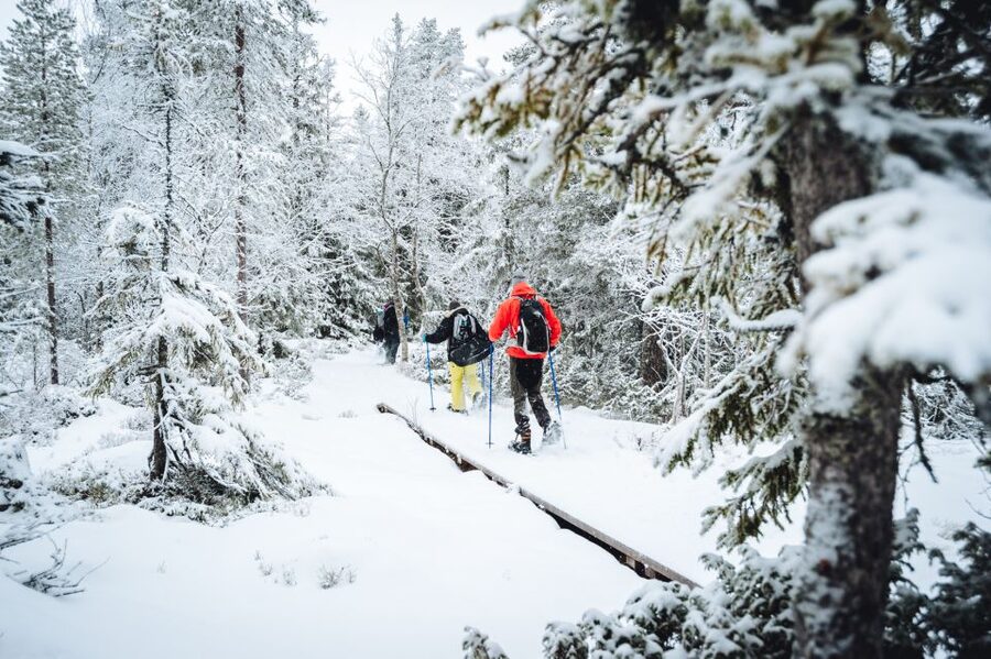 Stockholm: Winter Snowshoe Full-Day Hike - Practical details before you reserve