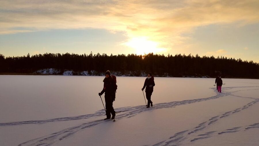 Stockholm: Winter Snowshoe Full-Day Hike - A quiet walk through Swedish woodland