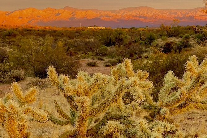 Stunning Sunset or Sunrise Guided Hiking Adventure in Phoenix - Choosing easy, moderate, or difficult terrain