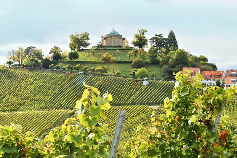 Stuttgart: Wine hike with wine tasting - Rotenberg and the Neckar Valley views