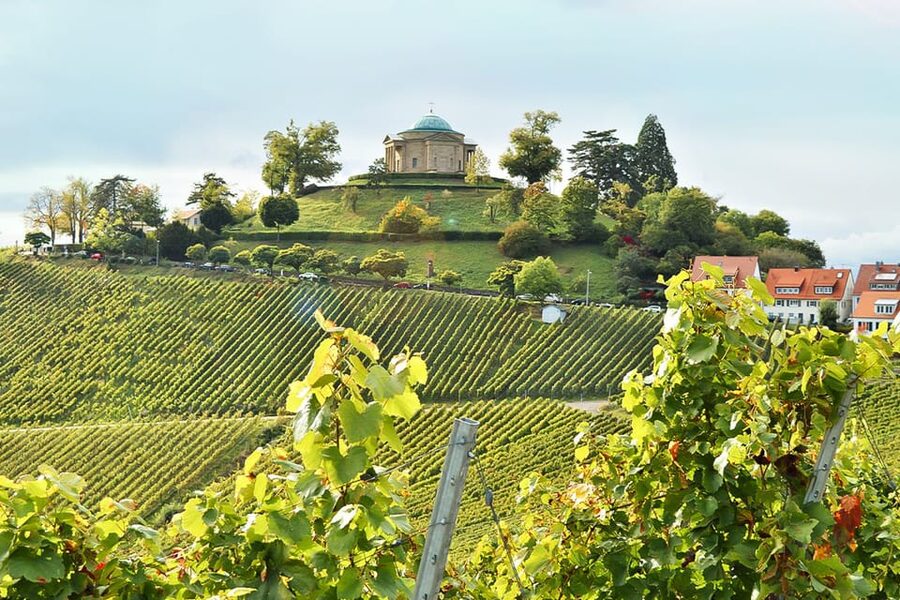 Stuttgart: Wine hike with wine tasting - Practical advice for making the walk easier