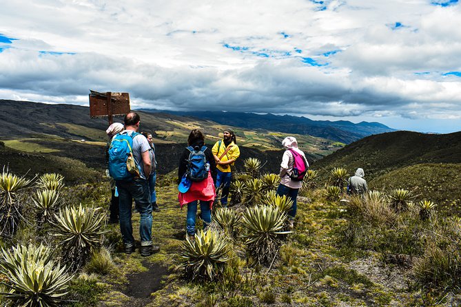Sumapaz Páramo Private Hike Tour - What makes a páramo different