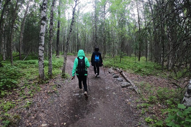 Summer Valley and Forest Hike - Leaving Anchorage for Chugach State Park