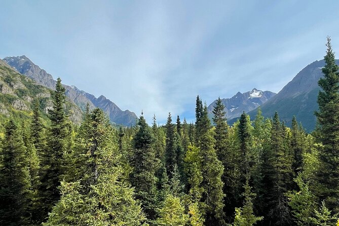 Summer Valley and Forest Hike - Wildlife without a wildlife guarantee