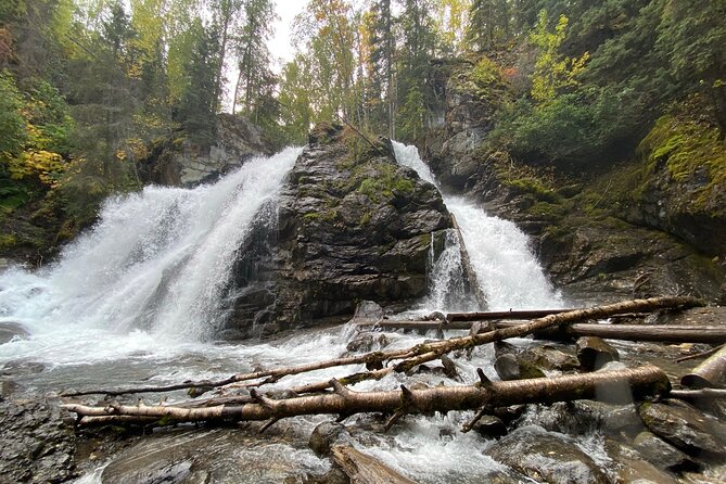 Summer Valley and Forest Hike - Guides who make the difference