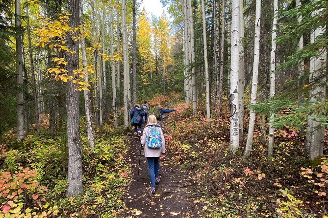 Summer Valley and Forest Hike - Who should book this Anchorage hike?