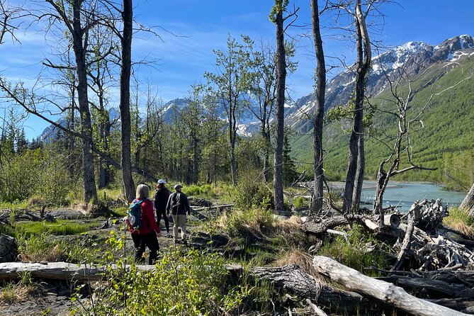 Summer Valley and Forest Hike - Eagle River views and the waterfall option