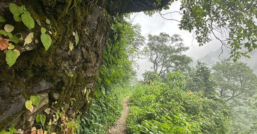 Sunrise Day Hike in Rishikesh - Key points to know before booking