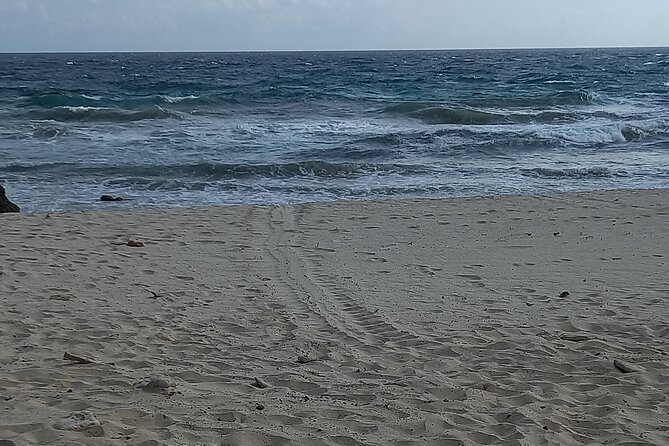 Sunrise Hike & Swim in Natural Pool: Escape the Crowds and Heat - Rancho Daimari and Aruba’s gold story