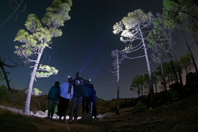 Sunset Hike and Stargazing Experience in Roque Nublo Mountains - Reaching the Bailico meeting point by car