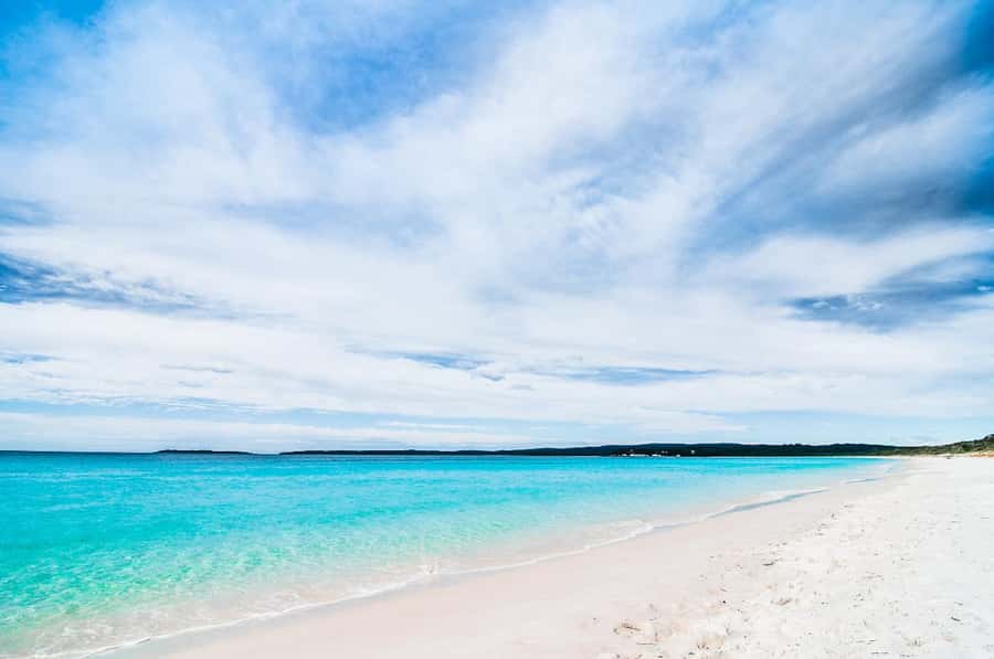 Sydney: Port Stephens Day Trip with Dolphin Cruise or Hike - FAQ