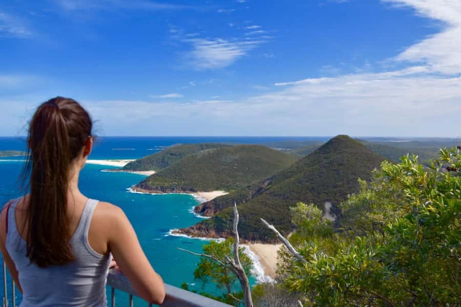 Sydney: Port Stephens Day Trip with Dolphin Cruise or Hike - Choose Your Afternoon: Dolphins or Mount Tomaree