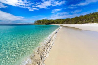 Sydney: Port Stephens Day Trip with Dolphin Cruise or Hike