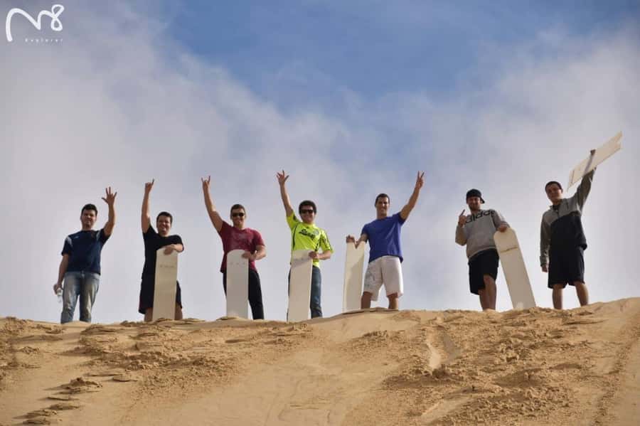Sydney: Port Stephens Day Trip with Dolphin Cruise or Hike - Who Should Book This Port Stephens Trip?