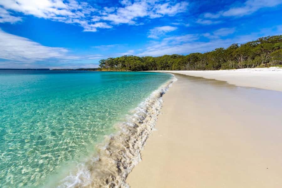 Sydney: Port Stephens Day Trip with Dolphin Cruise or Hike - Nelson Bay: Lunch, Waterfront Time, and a Useful Break
