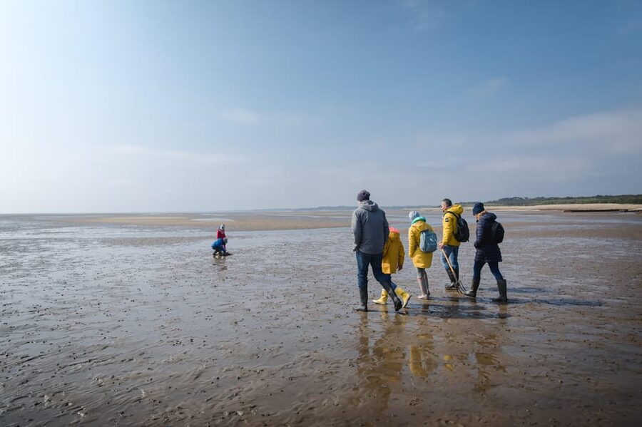 Sylt: Guided Mudflat Hike on the Island - Walking into Sylt’s tidal world
