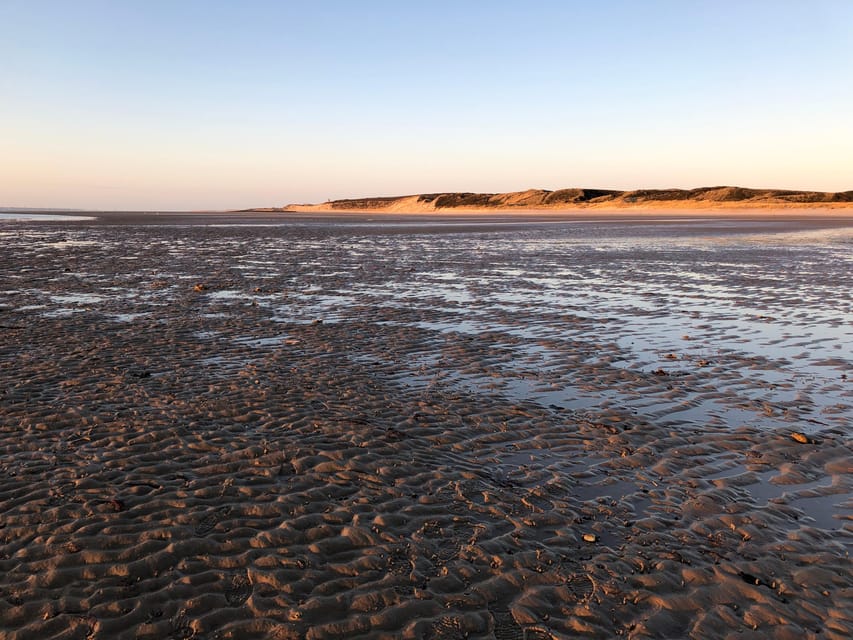 Sylt: Guided Mudflat Hike on the Island - Is $19 a good value?