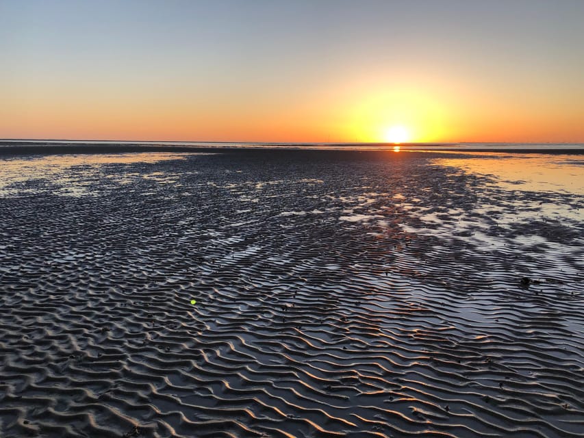 Sylt: Guided Mudflat Hike on the Island - Why Jan Krüger makes the walk feel local