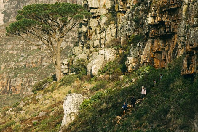 Table Mountain Guided Hike-epic adventure for all fitness levels - The value of the $85.76 price