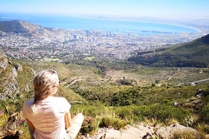 Table Mountain Half Day Hike: Platteklip Gorge - Taking the cable car back down