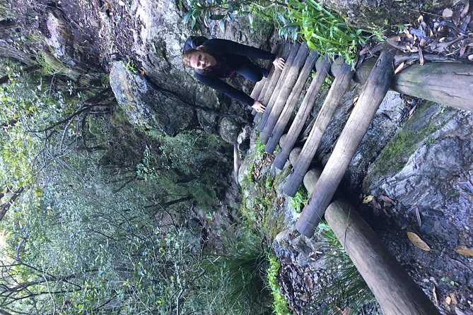 Table Mountain Hike (All routes) - Private Tour - The climb: scenery, effort, and local guidance