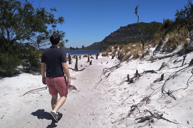 Table Mountain Hike (All routes) - Private Tour - Picnic lunch and snacks on a long climb