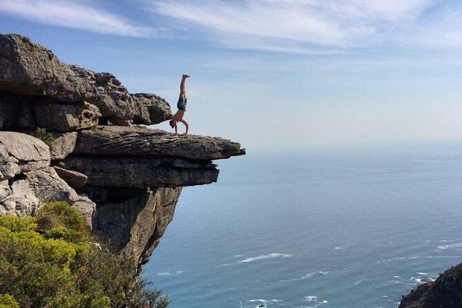 Table Mountain Hike with an Expert Guide - Fynbos, birds, and the mountain’s plant life