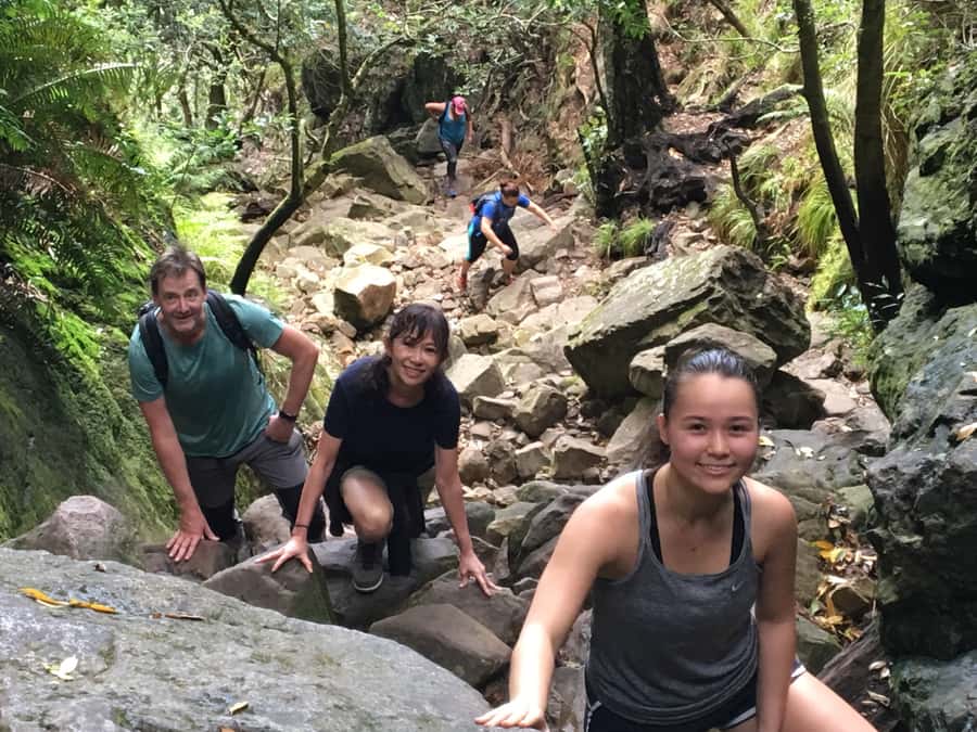 Table Mountain Hike with Local Tour Guide - Lion’s Head: the flexible family option