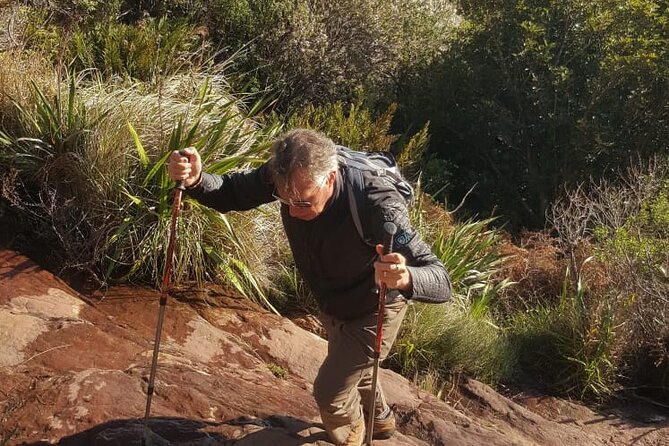 Table Mountain Hiking - Should you book Table Mountain Hiking?