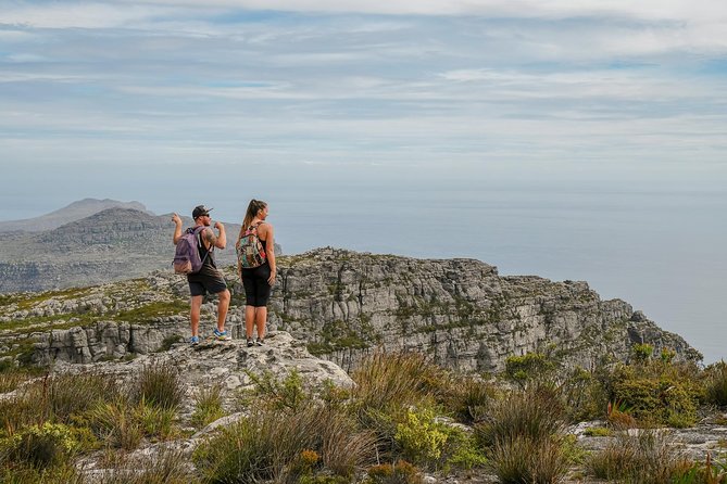 Table Mountain Summit Hike via Kasteelspoort - Continuing to the summit plateau