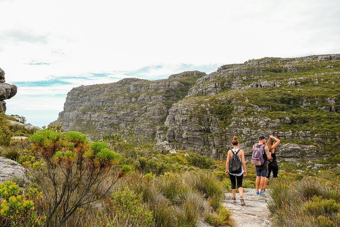 Table Mountain Summit Hike via Kasteelspoort - What the private format adds