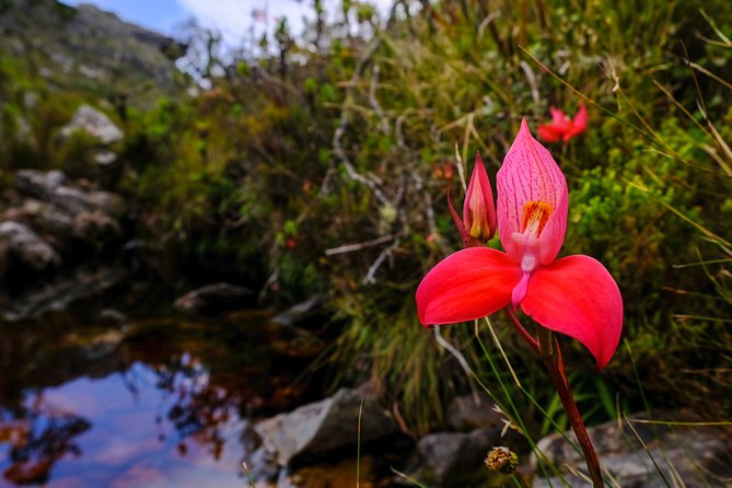 Table Mountain Summit Hike via Kasteelspoort - Who should choose this hike
