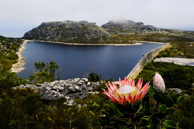 Table Mountain Summit Hike via Kasteelspoort - Starting in Bakoven beneath the 12 Apostles