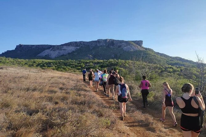 Tafelberg Hiking Experience - Reaching the Tafelberg summit