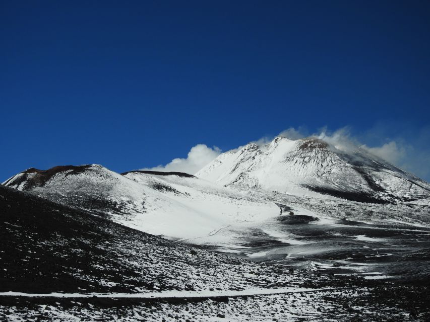 Taormina and Catania: Private guided Etna hike by cable car - Who should book this Etna hike