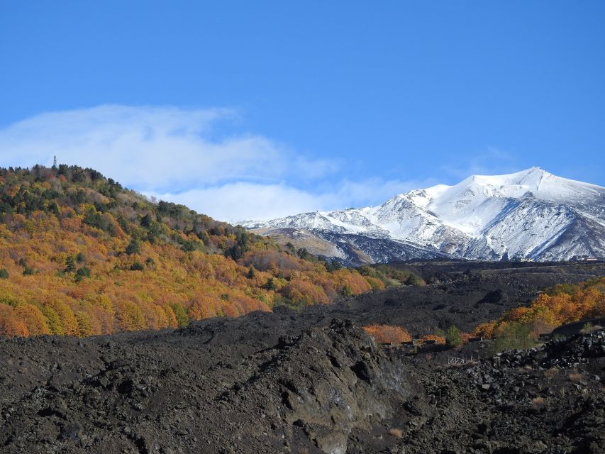 Taormina and Catania: Private guided Etna hike by cable car - Safety, weather, and volcanic activity