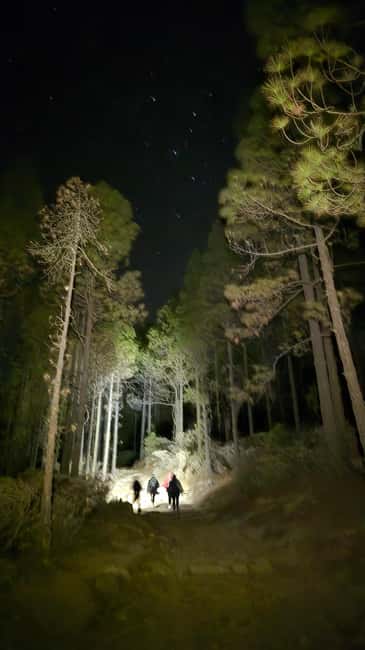 Tejeda: Sunset & Night Sky Guided Astronomy Hiking Tour - Driving, timing, and planning details