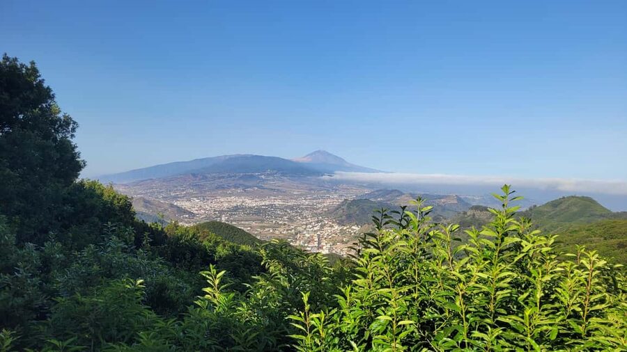 Tenerife Anaga Mountains: Circular Hike in the Laurel Forest - Small Group 10-12 P - Key points before you book