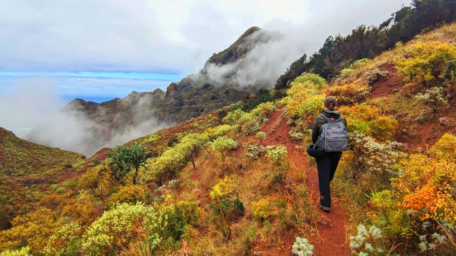 Tenerife: Anaga Mountains & Enchanted Forest Hiking Tour - Old water channels and signs of mountain life
