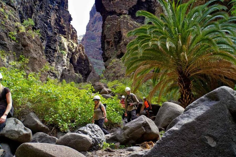 Tenerife Barranco de Masca: Guided hike + boat ride + transport - What makes Masca Ravine special