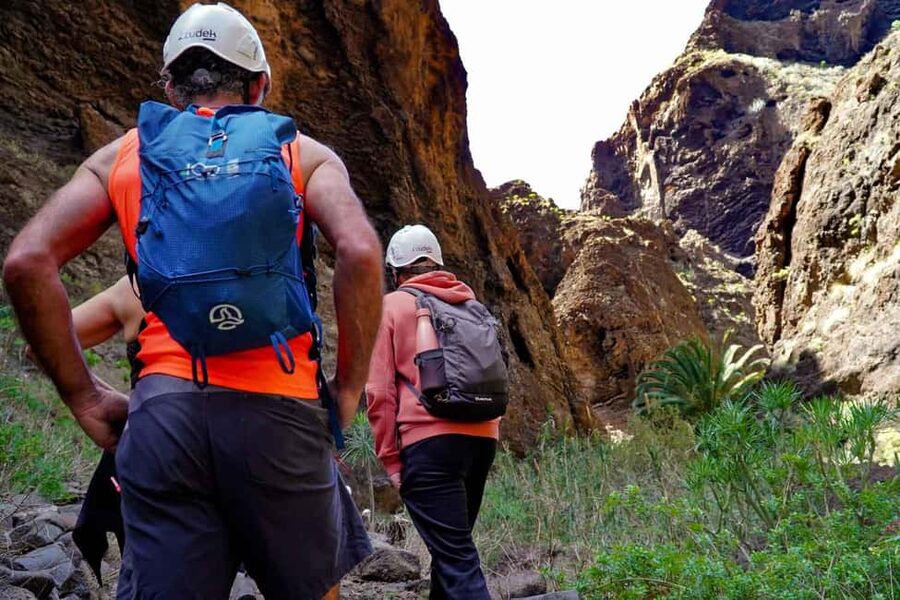 Tenerife Barranco de Masca: Guided hike + boat ride + transport - Who should book this experience