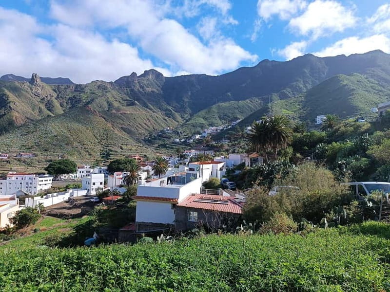 Tenerife Hidden Gem: Anaga Hike, Bajamar Pools & Cocktail - What the $112 price buys you