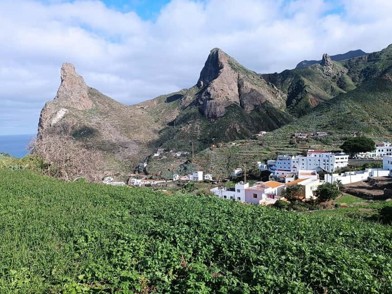 Tenerife Hidden Gem: Anaga Hike, Bajamar Pools & Cocktail - La Laguna market and the first taste of local life