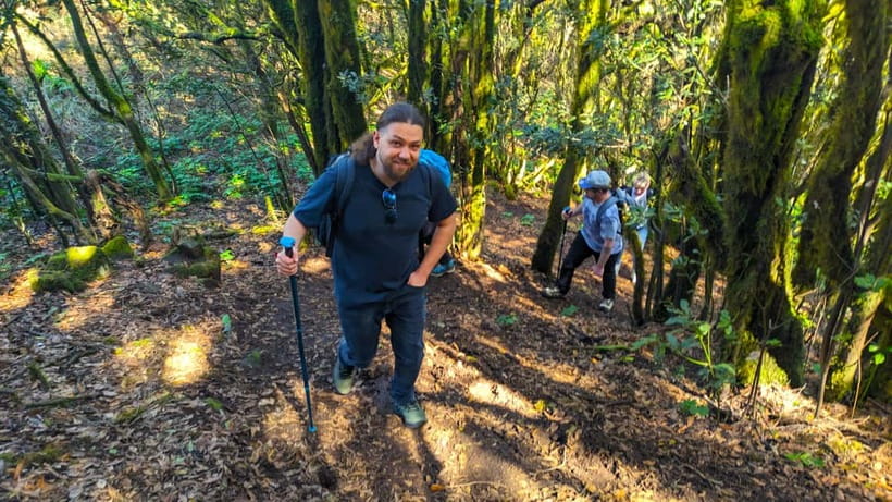 Tenerife: Hike Above Masca in Enchanted Forest with Pick-up - Key points to know before booking