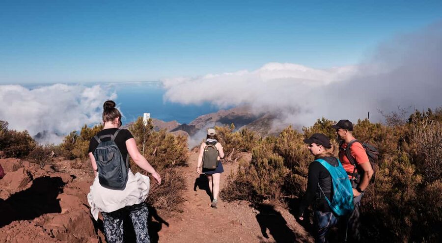 Tenerife: Hike Above Masca in Enchanted Forest with Pick-up - Why the hike above Masca feels different from a standard Tenerife excursion