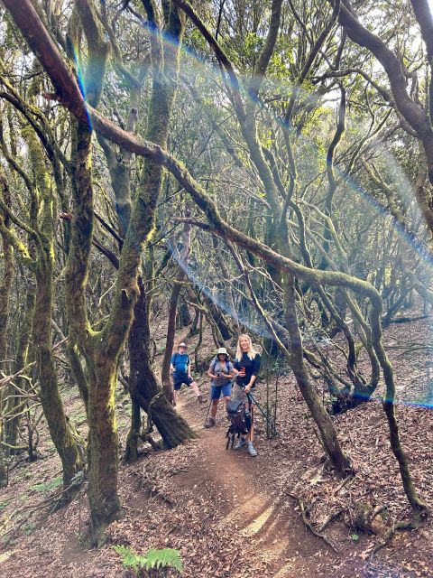 Tenerife: Hike Above Masca in Enchanted Forest with Pick-up - Four climate zones in about two hours of walking