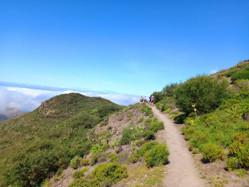 Tenerife: Hiking Above the Village of Masca - A high route above Masca, not the famous gorge