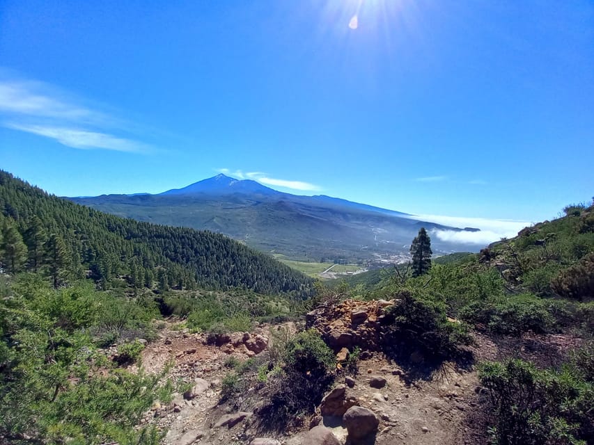 Tenerife: Hiking Above the Village of Masca - Should you book it?